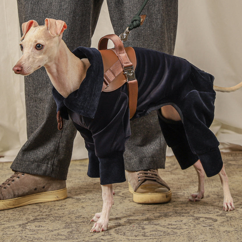 [NEW] Suede All-in-One Suit_NAVY