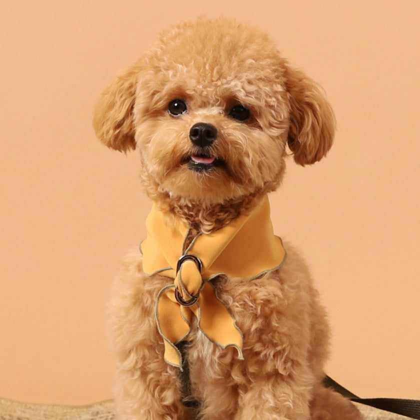 Doggy Scarf_MUSTARD