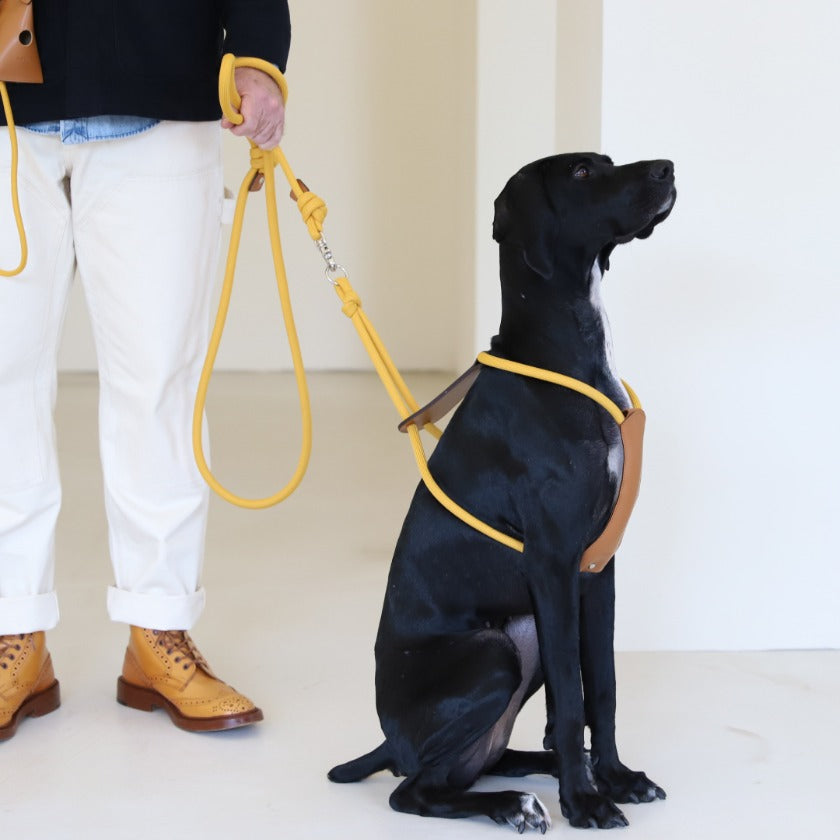 Essential Lead_MUSTARD