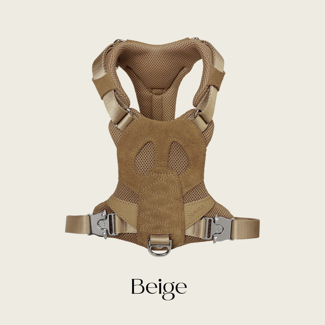 [NEW] Artisan Harness CAMEL