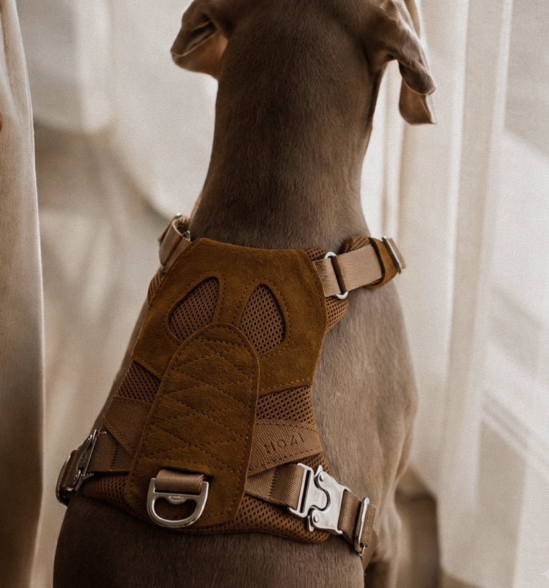 [NEW] Artisan Harness CAMEL
