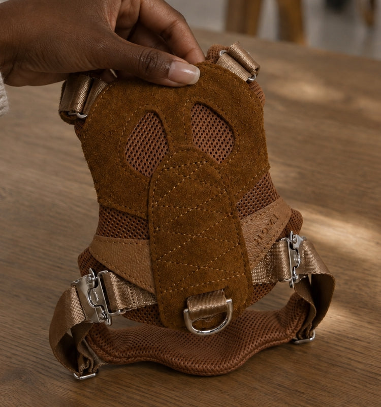 [NEW] Artisan Harness CAMEL