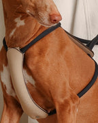 Essential Harness NAVY