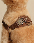 Horsebit Harness MOCHA