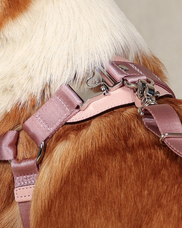 Horsebit Harness PINK