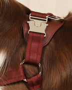 Horsebit Harness BURGUNDY