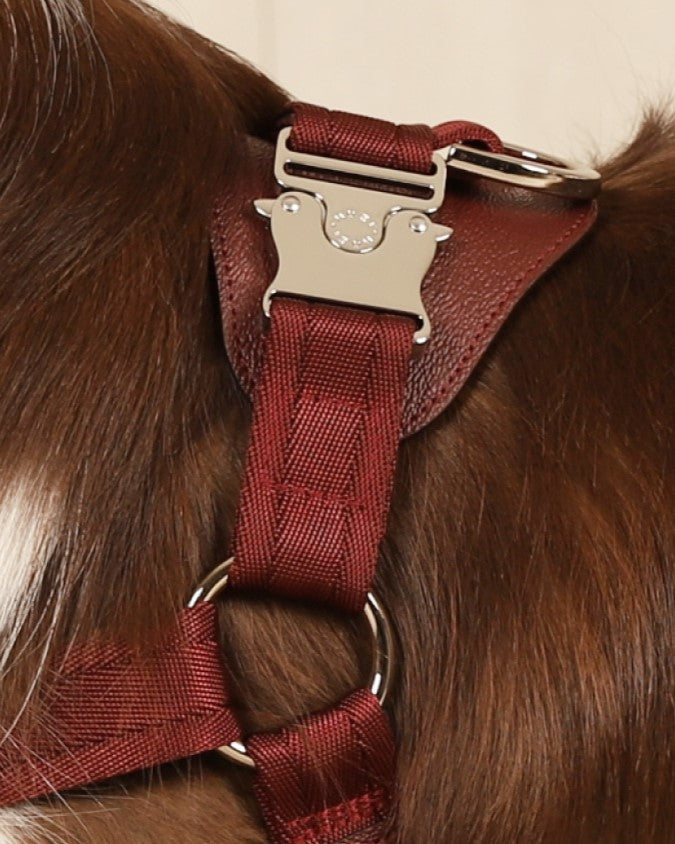 Horsebit Harness BURGUNDY