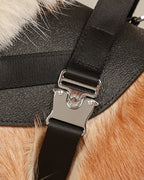 Saddle Harness BLACK