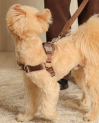 Horsebit Harness MOCHA