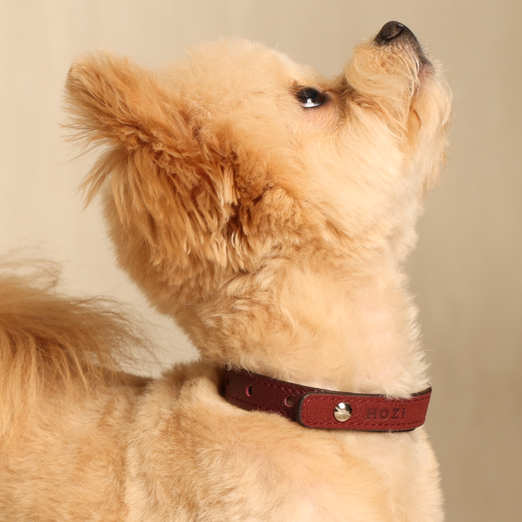 Saddle Strap_BURGUNDY