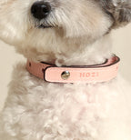 Saddle Strap_PINK