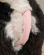 Essential Harness PINK