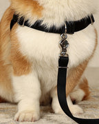 Horsebit Harness BLACK