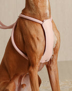 All-In-One Harness PINK