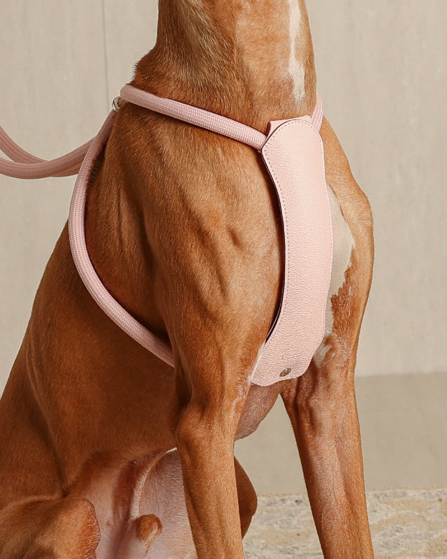 All-In-One Harness PINK