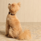 Saddle Strap_MOCHA