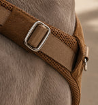 [NEW] Artisan Harness CAMEL